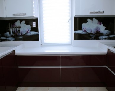 Portfolio Image