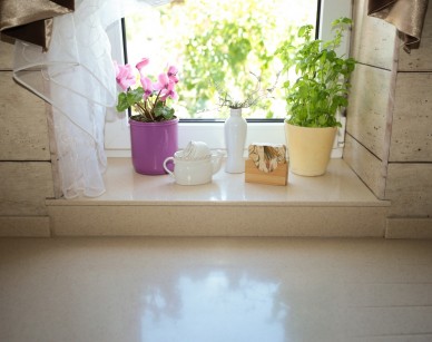 Portfolio Image